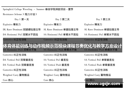 体育体能训练与动作视频示范模块课程节奏优化与教学方案设计