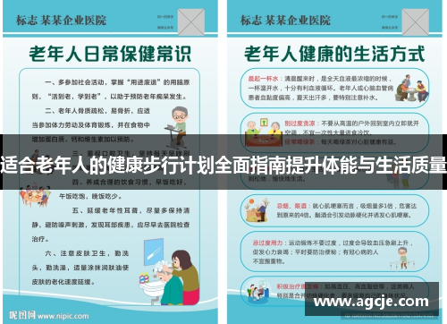 适合老年人的健康步行计划全面指南提升体能与生活质量